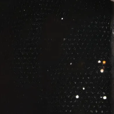 chat with ai character: Junior h