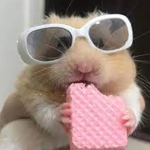 creator gonzalez_Keily's avatar