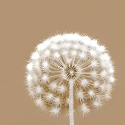 chat with ai character: Henry