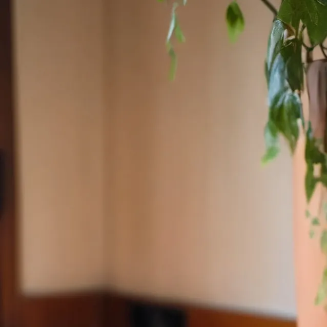 chat with ai character: Your cat