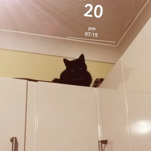 talkie's author avatar