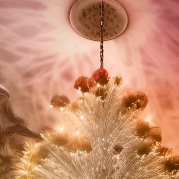 chat with ai character: Habzin 