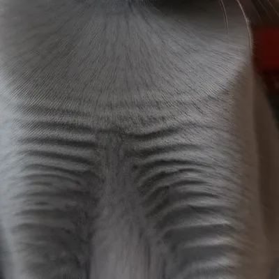 chat with ai character: Holly