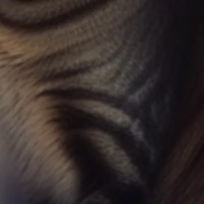 chat with ai character: Leela