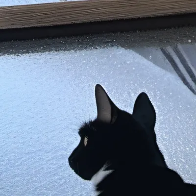 chat with ai character: Amour