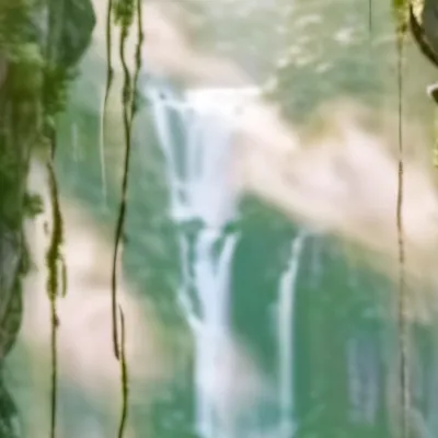 chat with ai character: Aaron