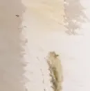 chat with ai character: Napoleon Bonaparte