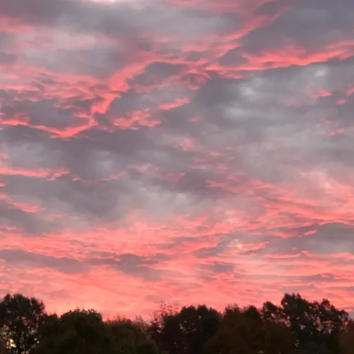 creator IFern's avatar