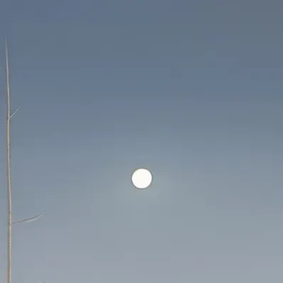 chat with ai character: The moon