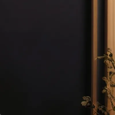 chat with ai character: catnap