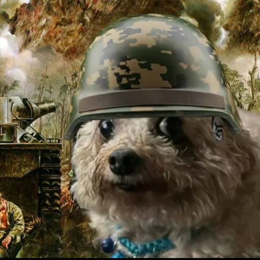 creator 🥕🍋____🍋🥕's avatar