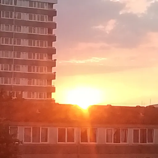 creator ElizaLinsyNolan❤️'s avatar