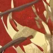 chat with ai character: Kengen ashura♍︎