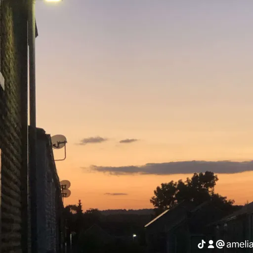 creator Ameliajaneryder's avatar