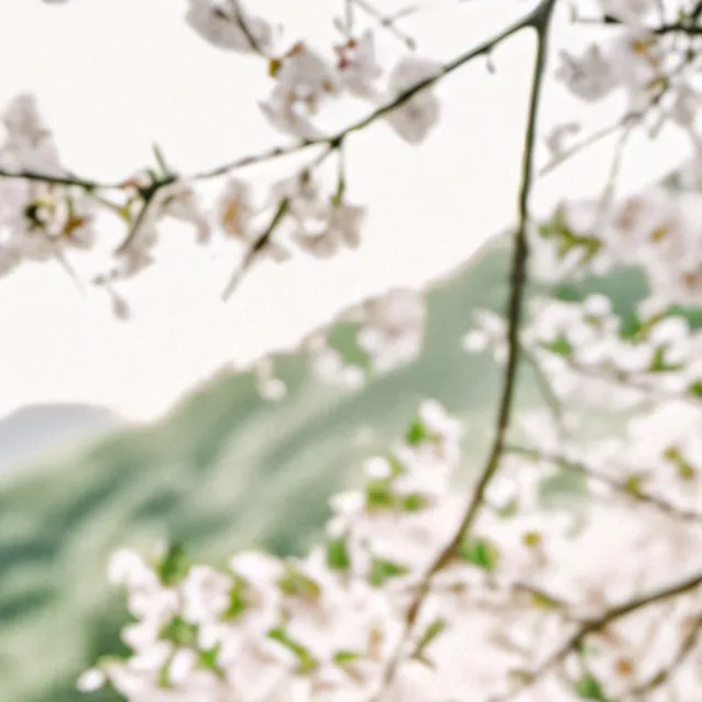 chat with ai character: Adriana 