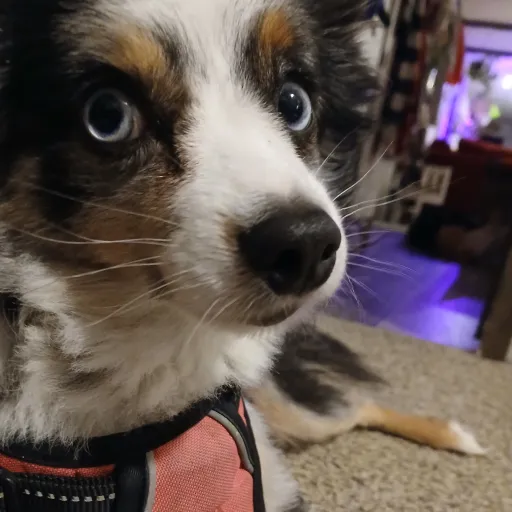 creator huhwhosaidthat's avatar