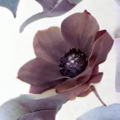 chat with ai character: Mark 