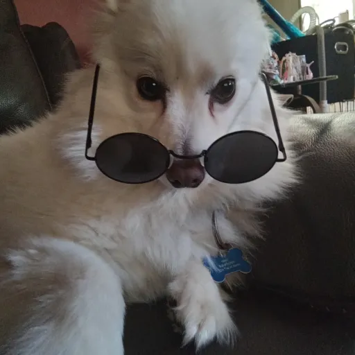 talkie's author avatar