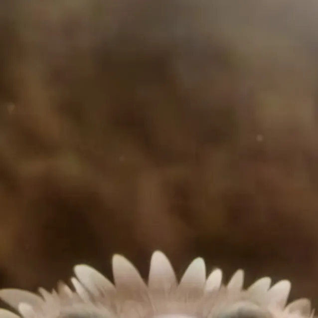 chat with ai character: ennard/Noah:3