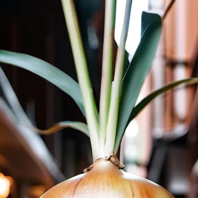 chat with ai character: floating onion