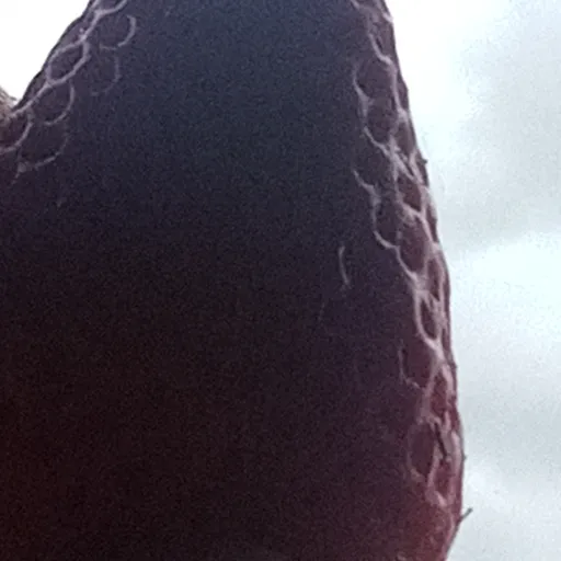 creator Hello Kitty gurl🌺🔪's avatar