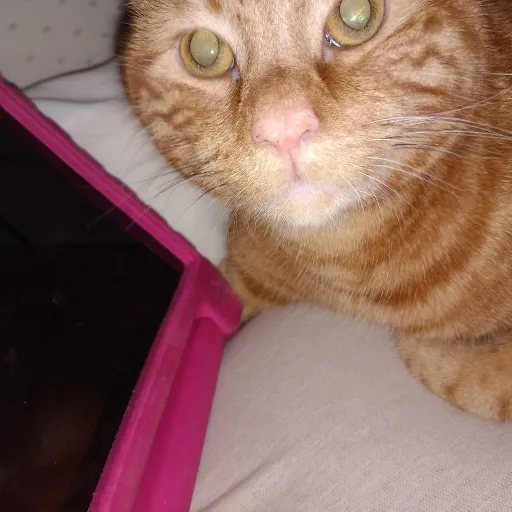 creator bailey2015's avatar