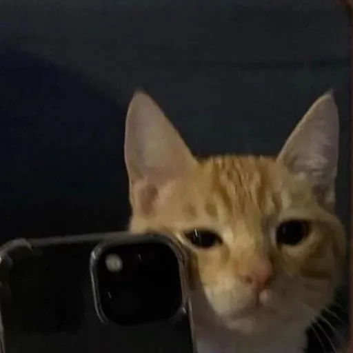 creator T1ffybear's avatar