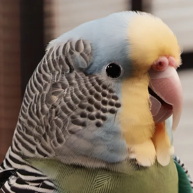 chat with ai character: Male budgie 