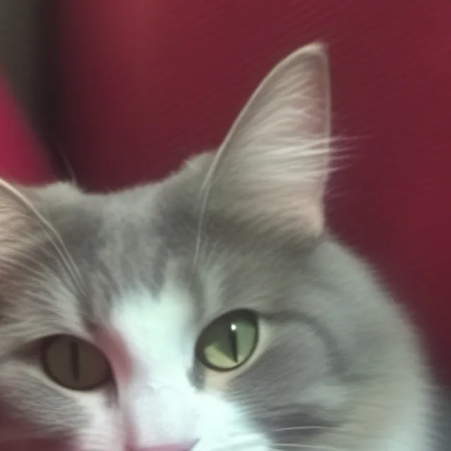 chat with ai character: Sonya