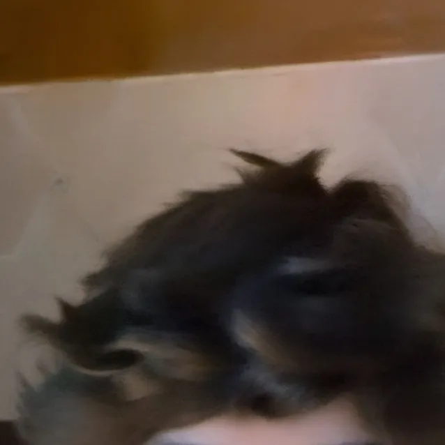 chat with ai character: Noah