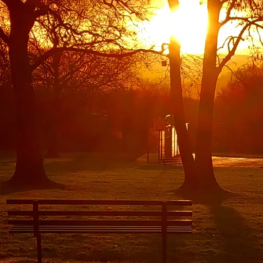 creator lonly's avatar