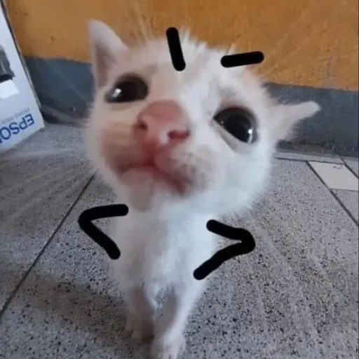 creator K1TTY!!'s avatar