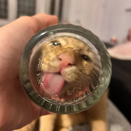 creator Vex<3's avatar