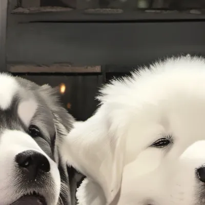 chat with ai character: Aria