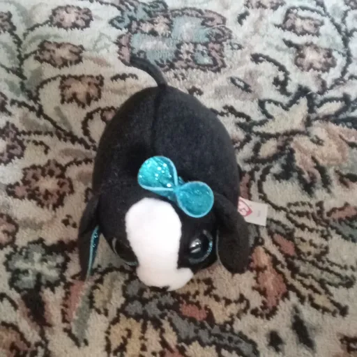 talkie's author avatar