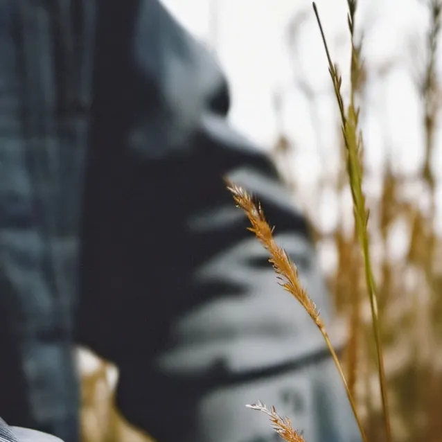 chat with ai character: TAGS 