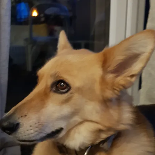 creator 💅Robynthegraceful🌟's avatar