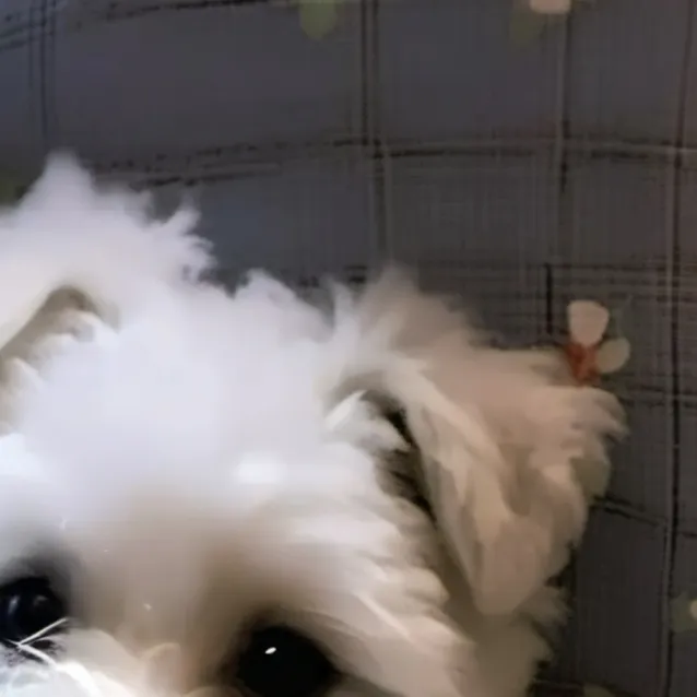 chat with ai character: pearl