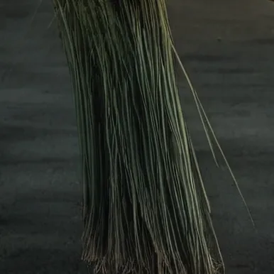 chat with ai character: grass