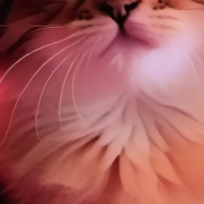 chat with ai character: Cute cat