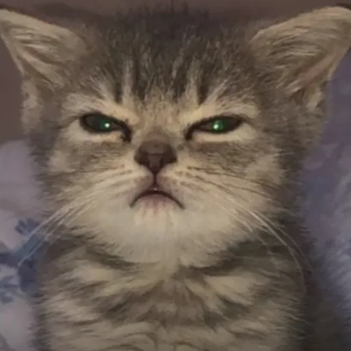 creator Cimin-)-)☆♡'s avatar