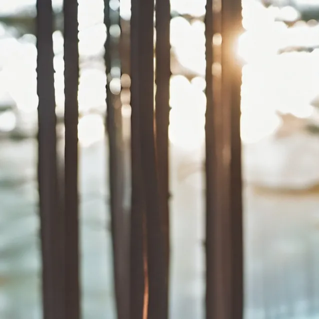 chat with ai character: Have Fun