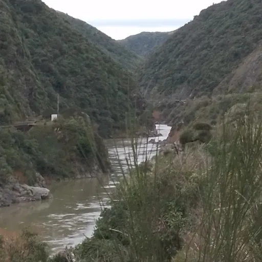 creator N€0's avatar