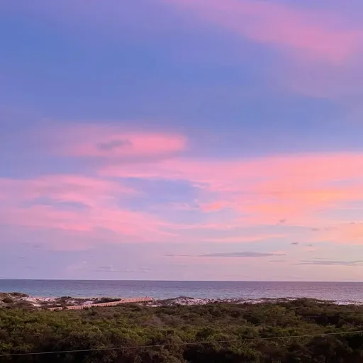 creator Briannaaaaa's avatar