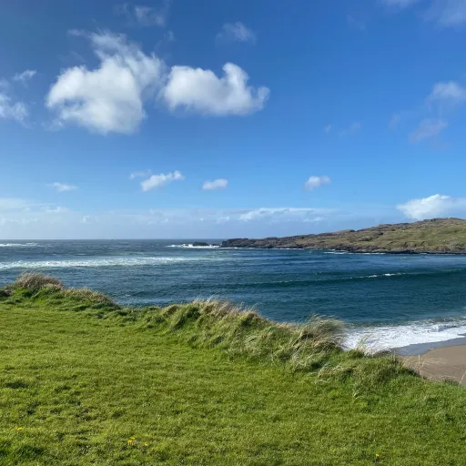 creator 🌹nature gurl🌹's avatar