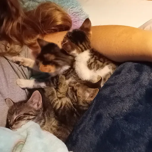 creator rosemarry9811's avatar