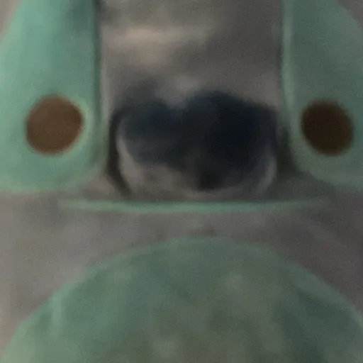 creator Stitch lover 3065's avatar