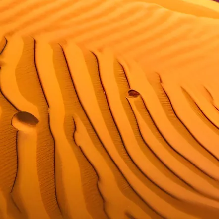 chat with ai character: Charlie (au)