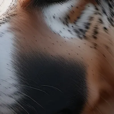 chat with ai character: Aaron