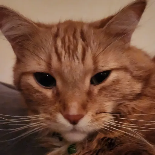 creator no_empathy's avatar